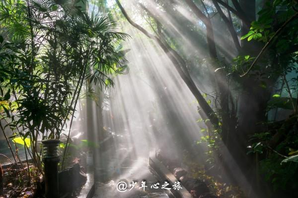 侨刊乡讯:世纪“集体家书”,百年思乡之情